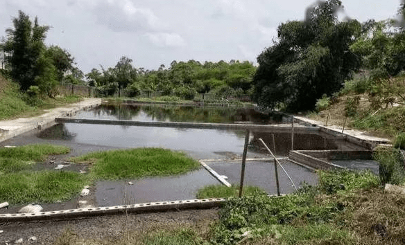 養殖汙水處理消泡劑應用場景